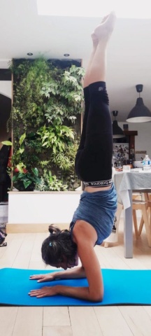pincha
